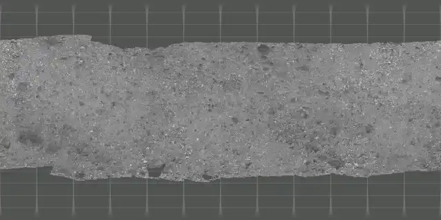 PolyCam reflectance mosaic